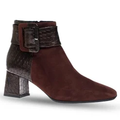 Linzi