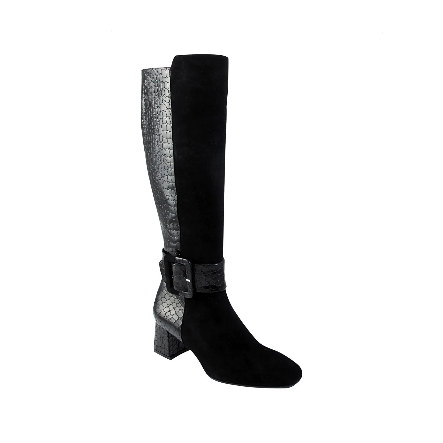Loris