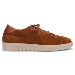 Omari