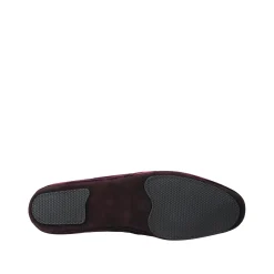 Phiona Slipper